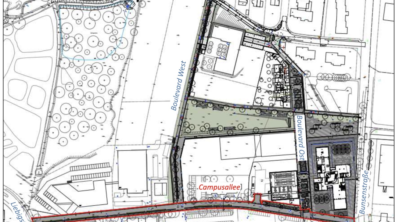 Ausbau der Campusallee in 2023