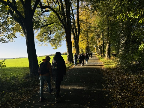 Teamtag der InnovationSPIN Mitarbeiter am 11.10.24