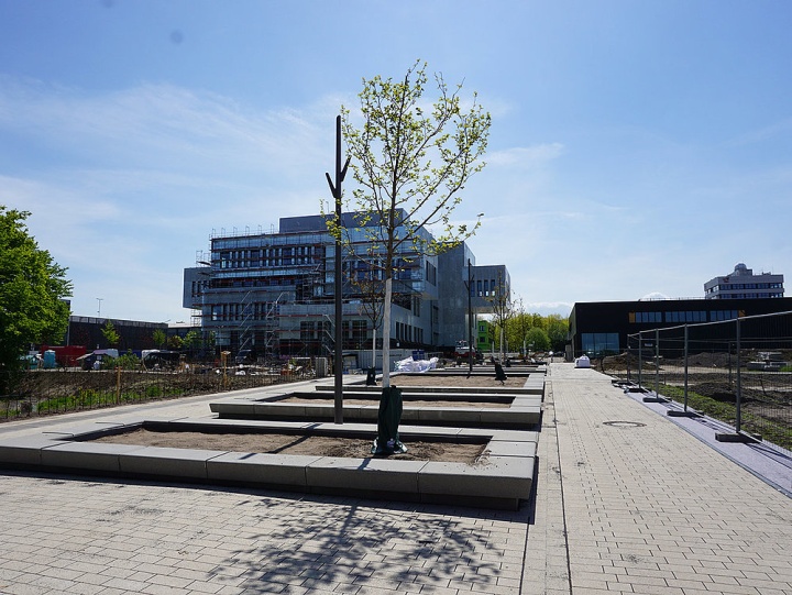 Am nördlichen Campus wird es grün 