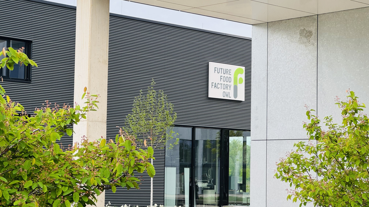 Campus City Walk - BEREITS AUSGEBUCHT!