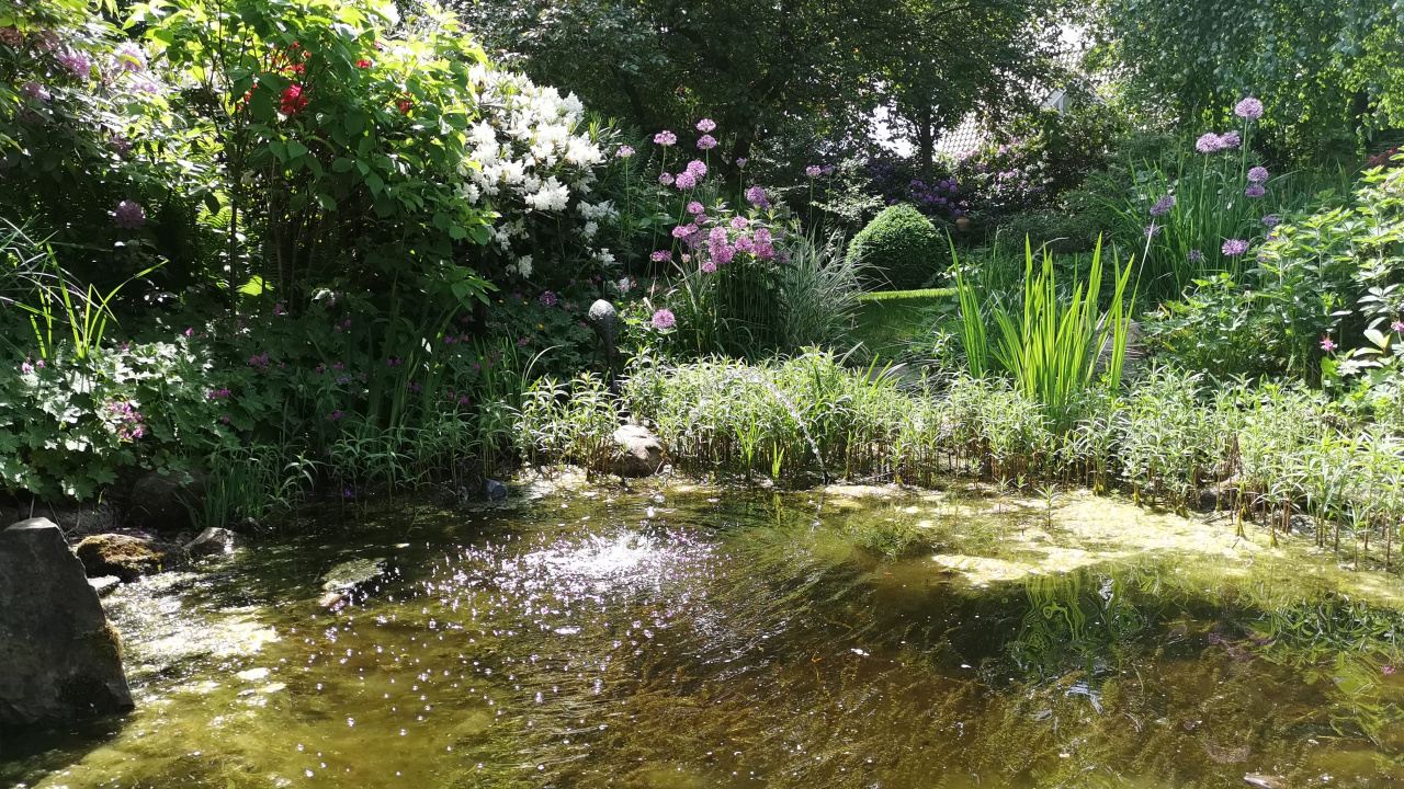 Lebensraum Wasser